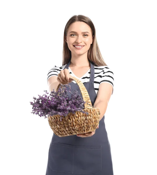 Female Gardener Basket Lavender White Background — Stock Photo, Image