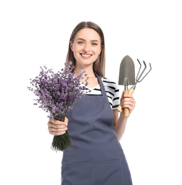 Kvinnlig Trädgårdsmästare Med Lavendel Vit Bakgrund — Stockfoto