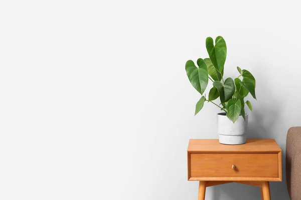 Small Wooden Table Houseplant Light Wall — Stock Photo, Image