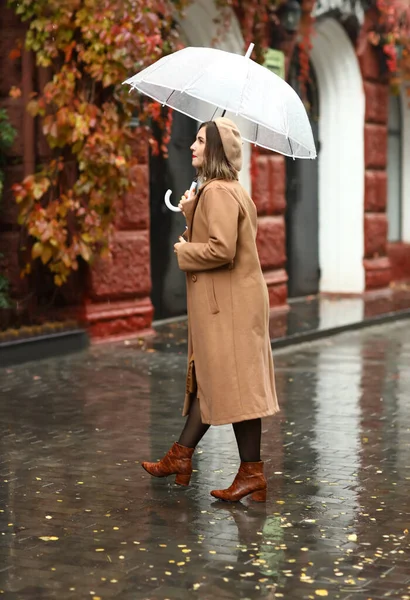 Young Fashionable Woman Umbrella Rainy Autumn Day — Stockfoto