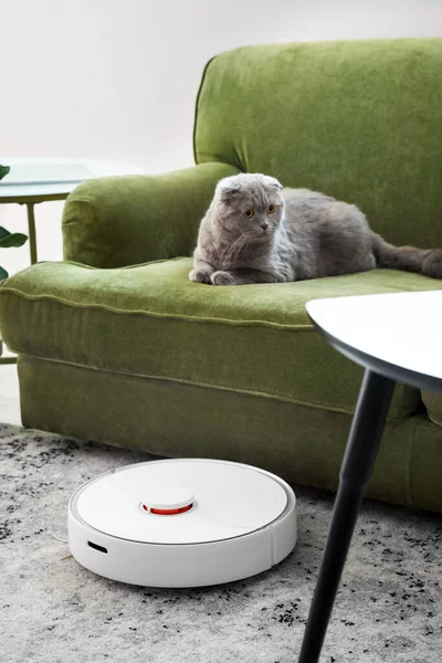 Moderne Staubsaugerroboter Der Nähe Von Sofa Mit Niedlicher Katze Zimmer — Stockfoto