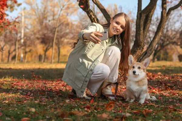 若いです女性とともに可愛いですコーギー犬取ります自画撮り秋公園 — ストック写真