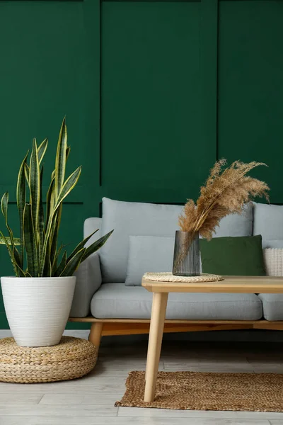 Stilvolles Wohnzimmer Mit Sofa Tisch Und Zimmerpflanze — Stockfoto