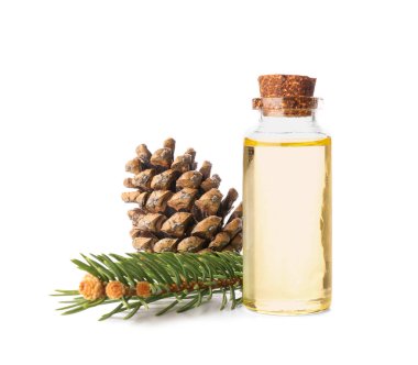 Temel yağ şişesi, köknar dalı ve beyaz arka planda koni