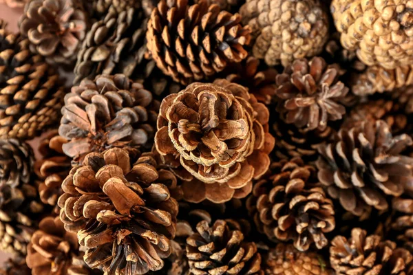 Heap Pine Cones Background Closeup — Stock Photo, Image