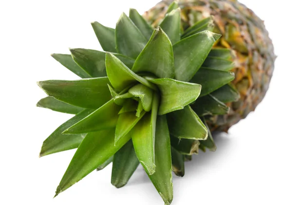 Mogen Ananas Isolerad Vit Bakgrund Närbild — Stockfoto