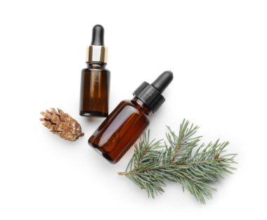 Temel yağ şişeleri, köknar dalı ve beyaz arka planda izole edilmiş koni