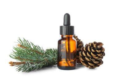 Beyaz arka planda bir şişe temel yağ, kozalak ve köknar dalı