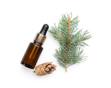 Beyaz arka planda bir şişe temel yağ, kozalak ve köknar dalı