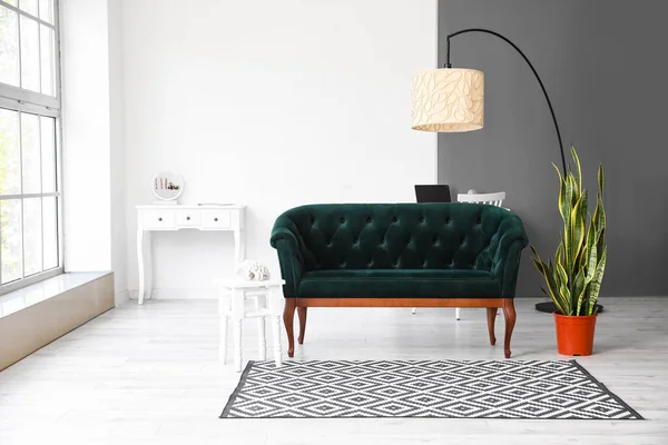 Interior Light Living Room Green Sofa Houseplant Standing Lamp — Zdjęcie stockowe