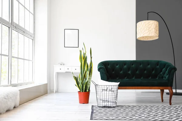 Interior Light Living Room Green Sofa Houseplant Standing Lamp — Stock Photo, Image