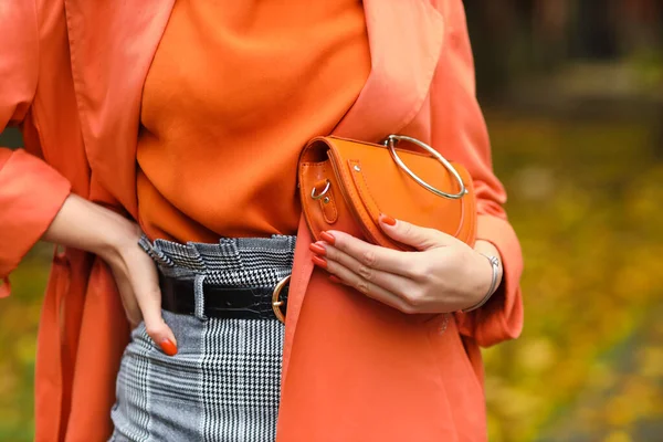 Fashionable Woman Stylish Handbag Closeup — Zdjęcie stockowe