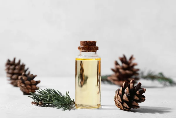 Bottle Essential Oil Fir Branch Pine Cones Light Background — Stock Photo, Image