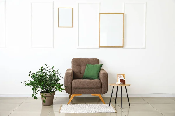 Interior Light Living Room Armchair Houseplant Coffee Table — 스톡 사진