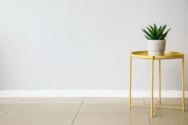 Yellow Coffee Table Houseplant Light Wall — Stockfoto