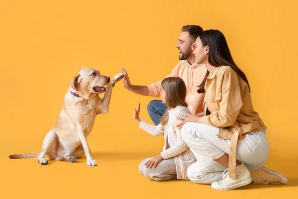 Parents Heureux Avec Petite Fille Chien Labrador Mignon Sur Fond — Photo