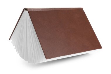 Uçan kitap beyaz arkaplanda izole edildi