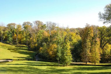 Güneşli sonbahar gününde güzel manzaralı bir park.