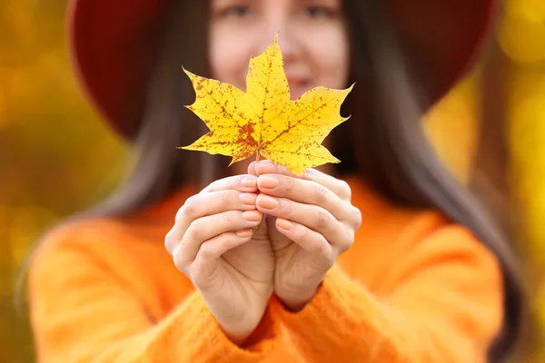 Golden Autumn Leaf Female Hands Closeup — Stock Photo, Image