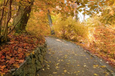 Sonbahar Park güzel yol