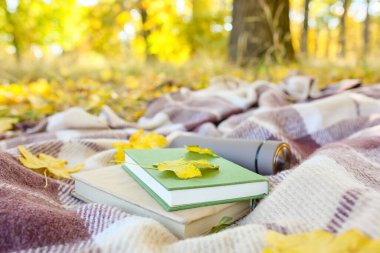 Kitaplar, termos şişesi ve sonbahar yaprakları ekose üzerinde