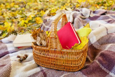 Ekoseli kitap ve sonbahar yapraklarıyla dolu bir sepet.