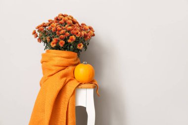 Güzel kasımpatı çiçekleri ve ışık duvarının yanında balkabağı olan tabure.