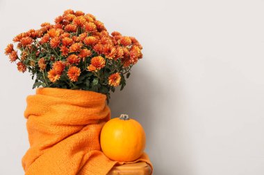 Güzel kasımpatı çiçekleri ve ışık duvarının yanında balkabağı