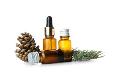 Beyaz arka planda izole edilmiş gerekli yağ, koni ve köknar dalları