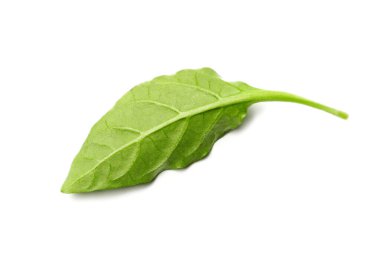 Beyaz zemin üzerine biber yaprağı