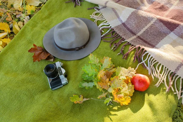 Stylish Felt Hat Vintage Photo Camera Autumn Leaves Plaid — Stock Photo, Image