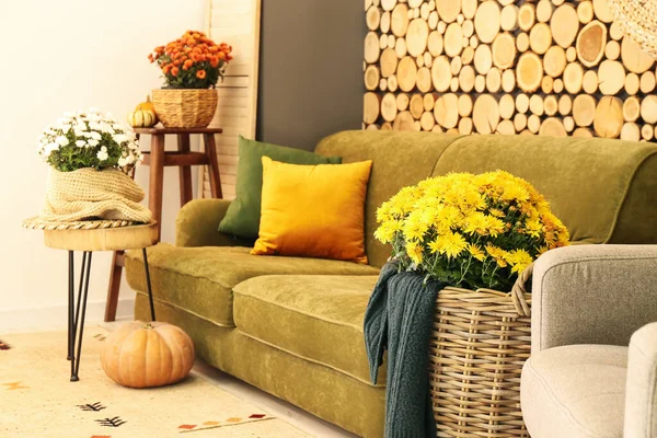 Comfortable Sofa Chrysanthemum Flowers Wooden Wall Living Room Interior — Stock Photo, Image