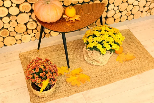 Pumpkin Table Chrysanthemum Flowers Wooden Floor — Stock Photo, Image