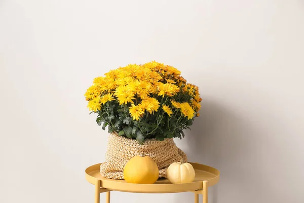 Beautiful Chrysanthemum Flowers Pumpkins Table Light Wall — Stock Photo, Image