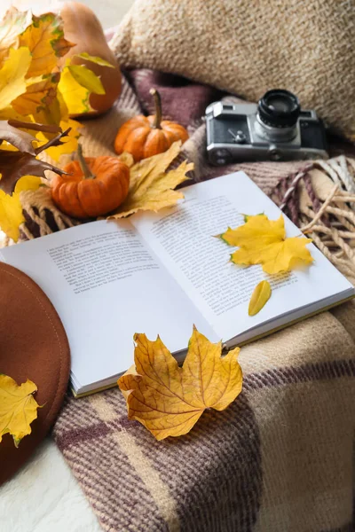 Krásná Kompozice Otevřenou Knihou Podzimní Výzdobou Parapetu — Stock fotografie