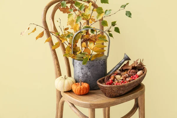 Watering Can Autumn Branches Basket Pumpkins Chair Color Wall — Zdjęcie stockowe