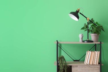 Raflarda siyah lamba, kitaplar ve yeşil duvarın yanındaki bitkiler.