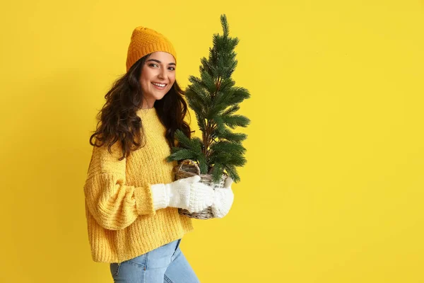 Mooie Jonge Vrouw Winter Kleding Met Kerstboom Kleur Achtergrond — Stockfoto