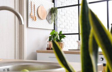 Ahşap mutfak gereçleri ve ışık duvarında asılı bitki örtüsü olan tahta tahta tahta tahta tahta.