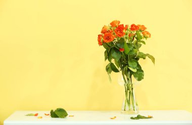 Sarı duvarda güzel turuncu güller olan vazo.