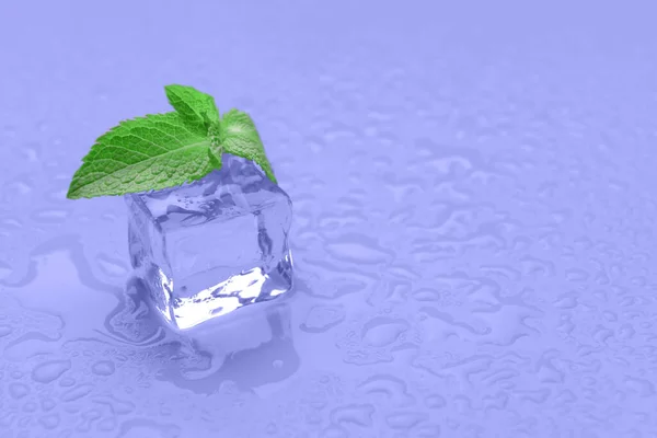 Ice Cube Mint Violet Background — Zdjęcie stockowe