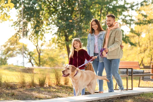 Happy Family Labrador Dog Walking Park — Stock Photo, Image