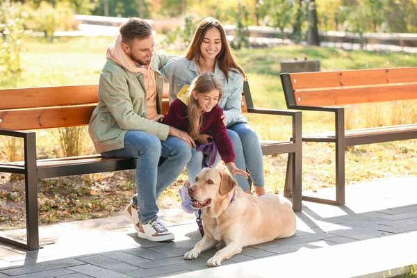 Happy Family Labrador Dog Sitting Bench Park — ストック写真