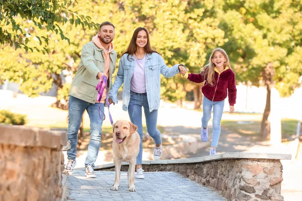 Happy Family Labrador Dog Walking Outdoors — ストック写真