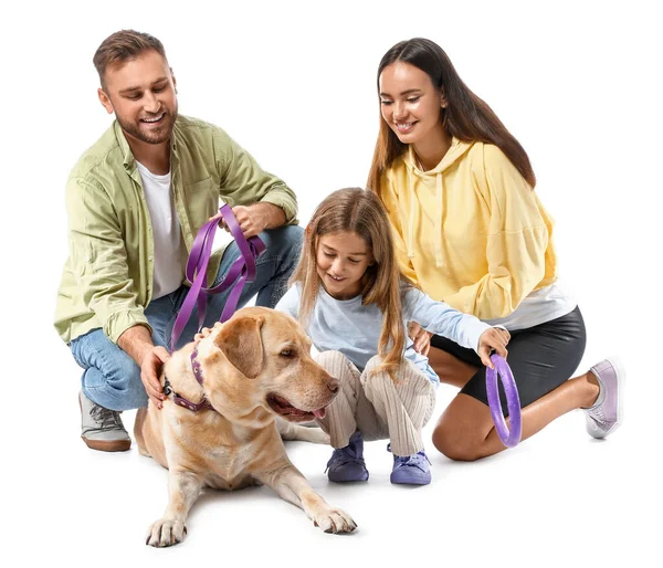 白い背景に小さな娘とかわいいラブラドール犬と幸せな両親 — ストック写真