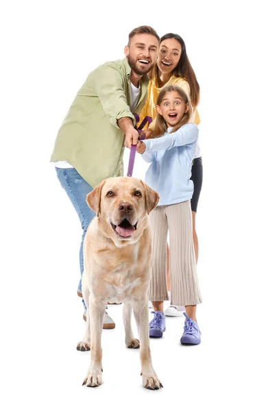 Happy Parents Little Daughter Cute Labrador Dog White Background — Stock Photo, Image