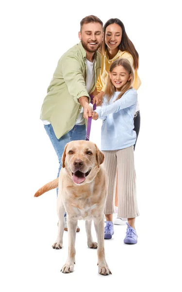 Щасливі Батьки Маленькою Дочкою Милий Собака Лабрадора Білому Тлі — стокове фото
