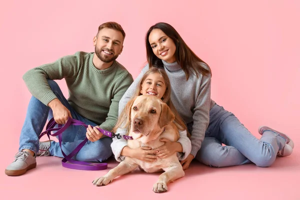 Happy Parents Little Daughter Labrador Dog Pink Background — Stock Photo, Image