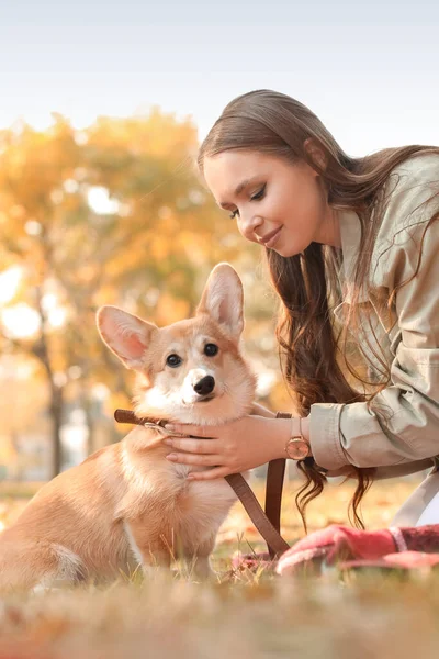 秋の公園でかわいいコルギ犬と若い女性 — ストック写真