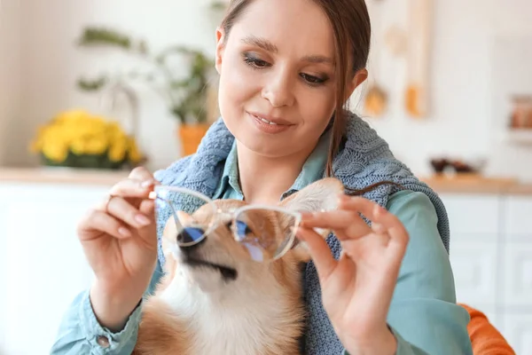 Young Woman Cute Corgi Dog Eyeglasses Kitchen Closeup — Stock Photo, Image
